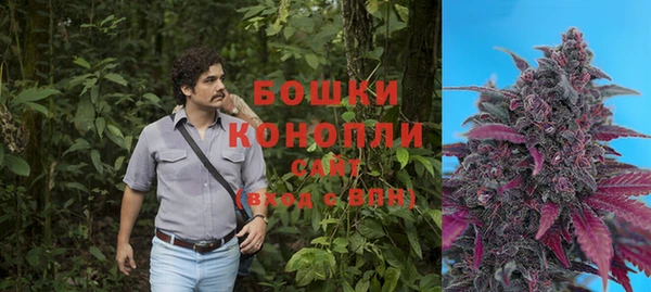 первитин Каменногорск