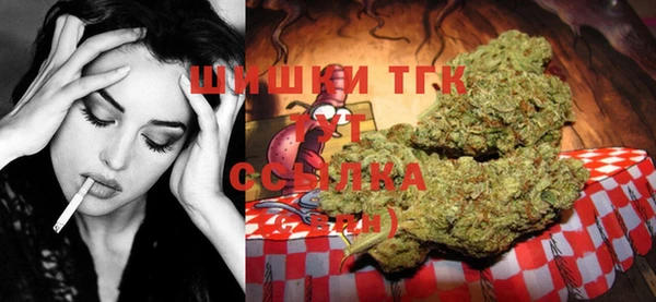 первитин Каменка