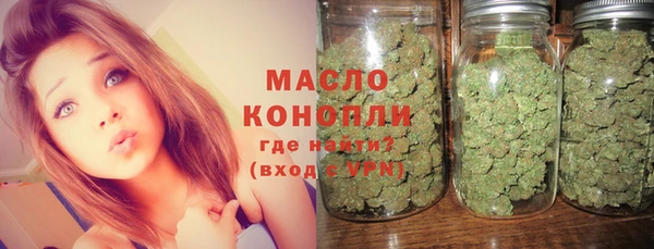 первитин Каменка