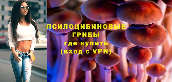 первитин Каменка