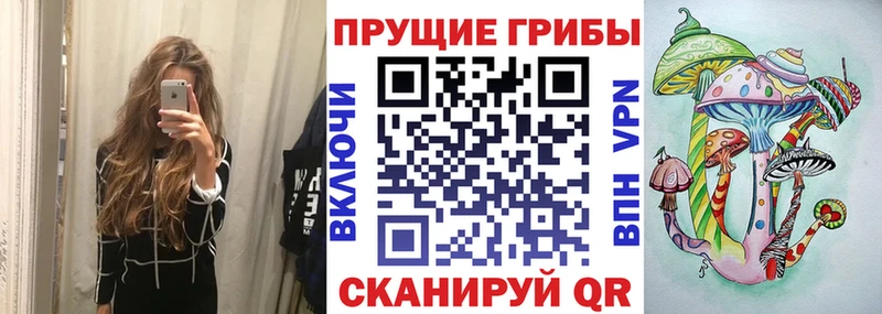 Галлюциногенные грибы мицелий  Купить  Добрянка 